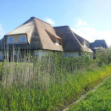 Ferienwohnung Haus-Duewelswarft-Whg-Delphin Sankt Peter-Ording Exterior foto